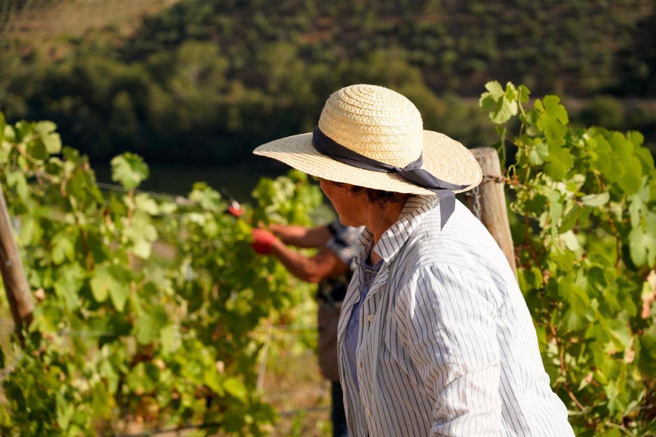 Quinta De S. Jose - Turismo Rural Ervedosa do Douro Ngoại thất bức ảnh