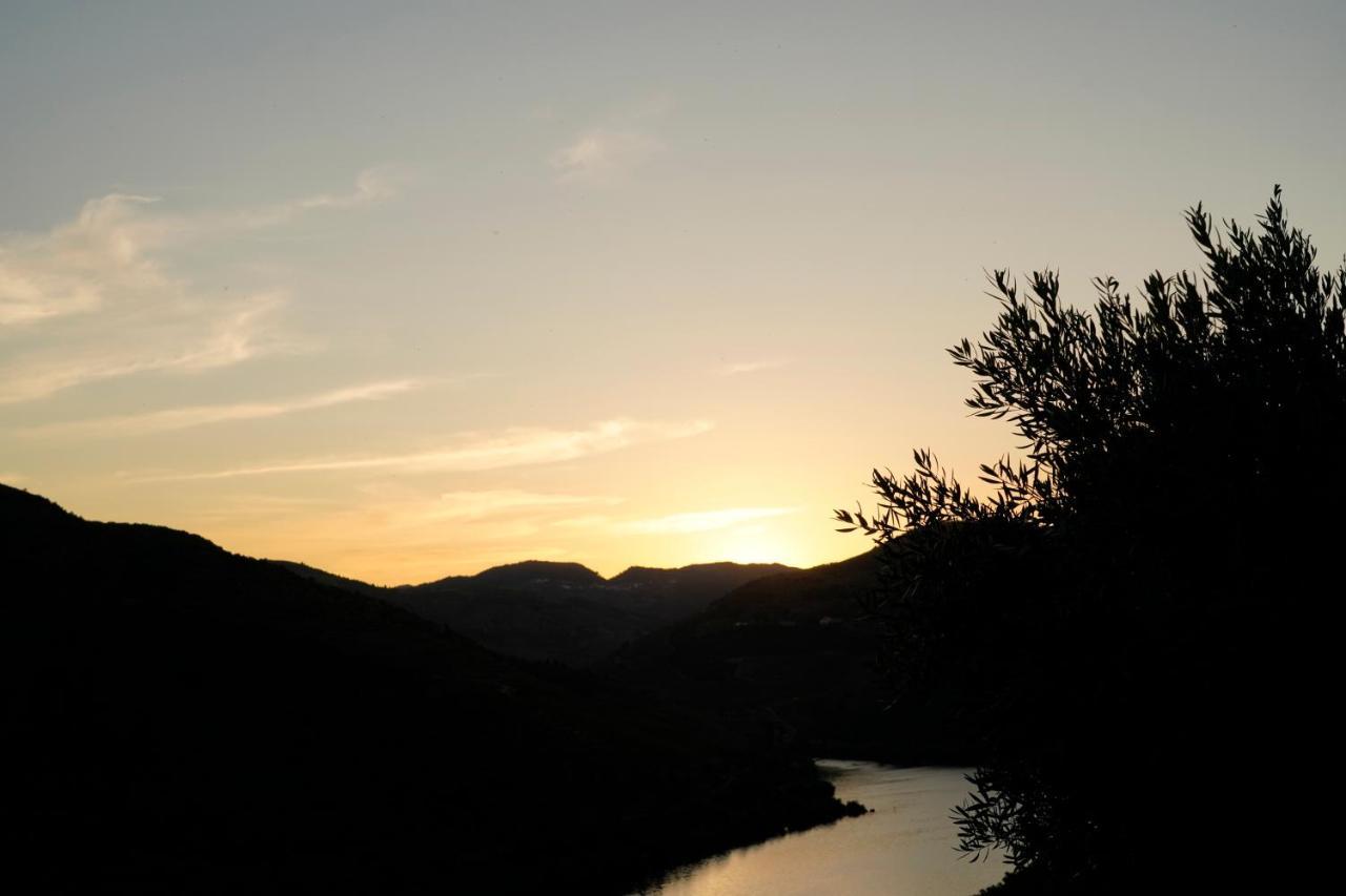 Quinta De S. Jose - Turismo Rural Ervedosa do Douro Ngoại thất bức ảnh